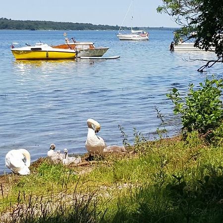 Ferienwohnung Am Schweriner See Raben Steinfeld Exteriör bild